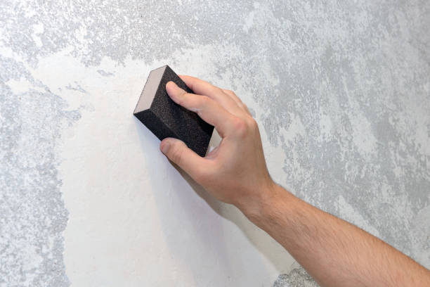Best Mold Removal for HVAC Installations  in Middletown, MD