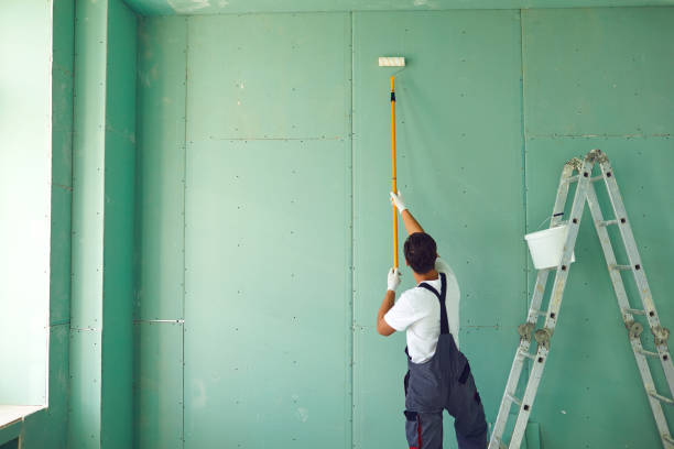 Best Post-Construction Mold Inspection  in Middletown, MD