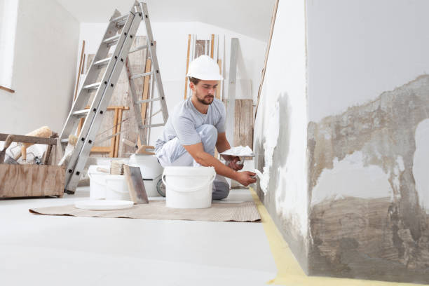 Best Basement Mold Removal  in Middletown, MD