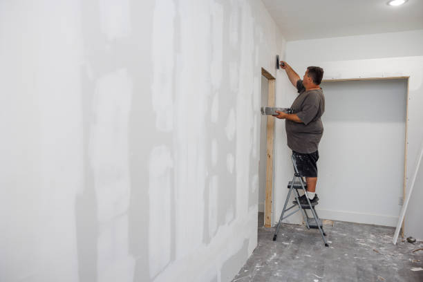 Best Mold Remediation for Rental Properties  in Middletown, MD