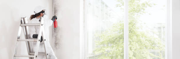 Best Asbestos and Lead Testing During Mold Inspection  in Middletown, MD