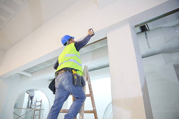 Best Air Quality Testing for Mold Spores  in Middletown, MD