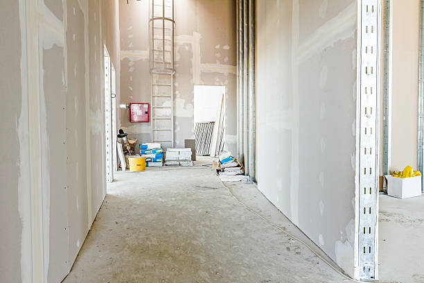 Asbestos and Lead Testing During Mold Inspection in Middletown, MD